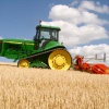 В Калининградской области сев зерновых и зернобобовых культур выполнен уже наполовину
